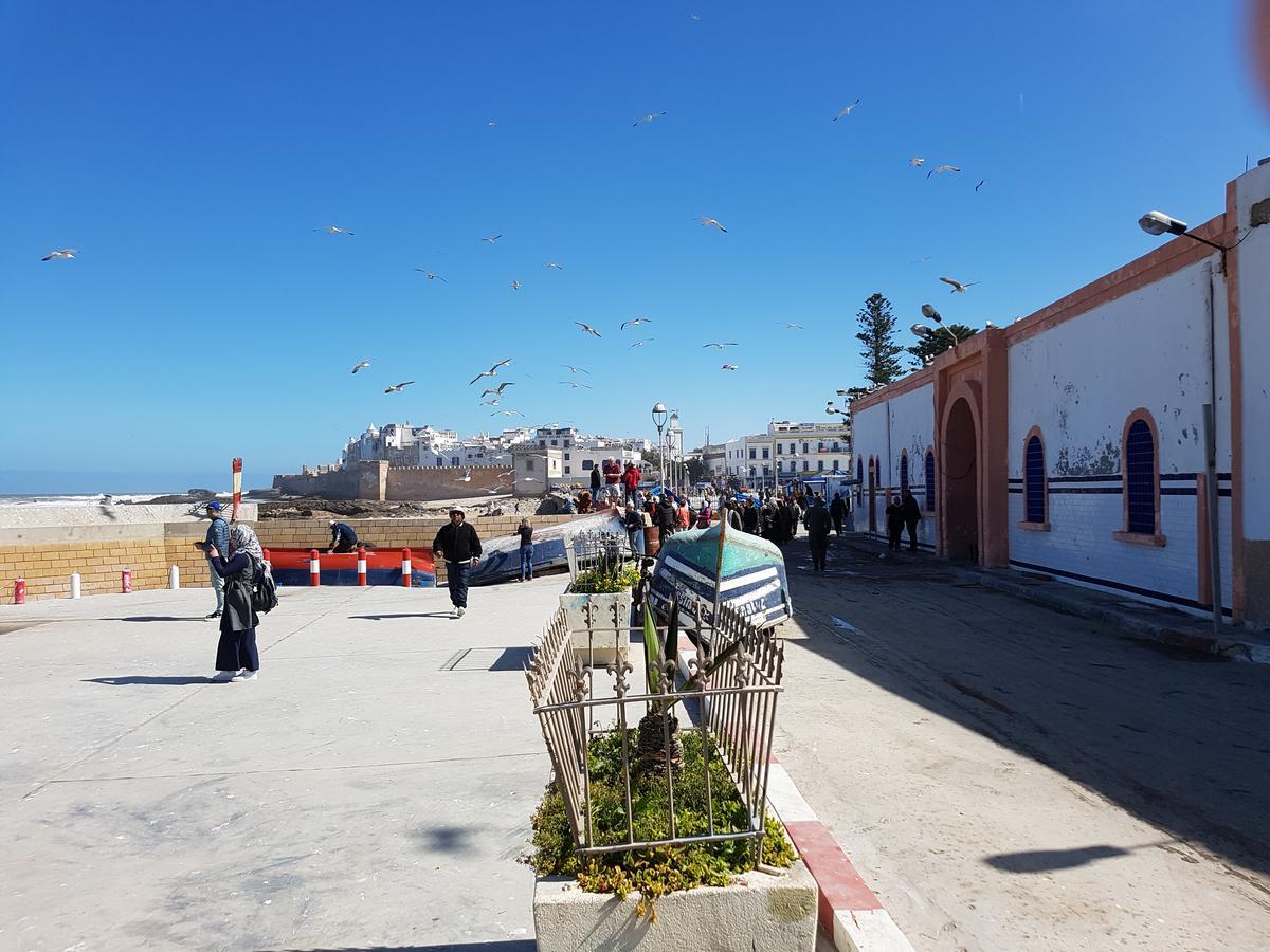 Riad Sidi Magdoul Essaouira Exterior foto